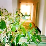 Blue Garden