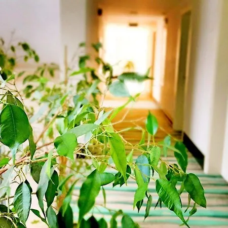 Blue Garden