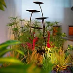מלון Blue Garden