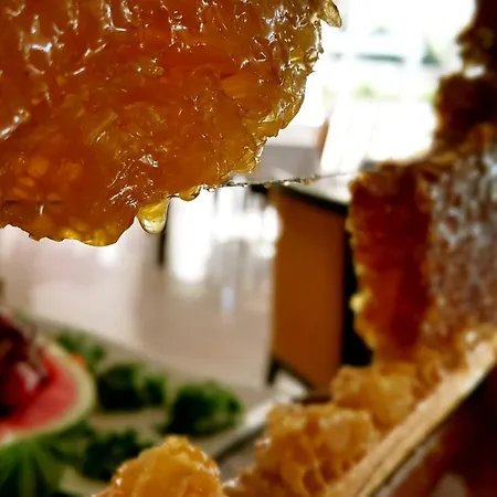 Hotel Blue Garden 4*